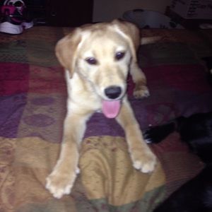 Meet your Posher, Krista